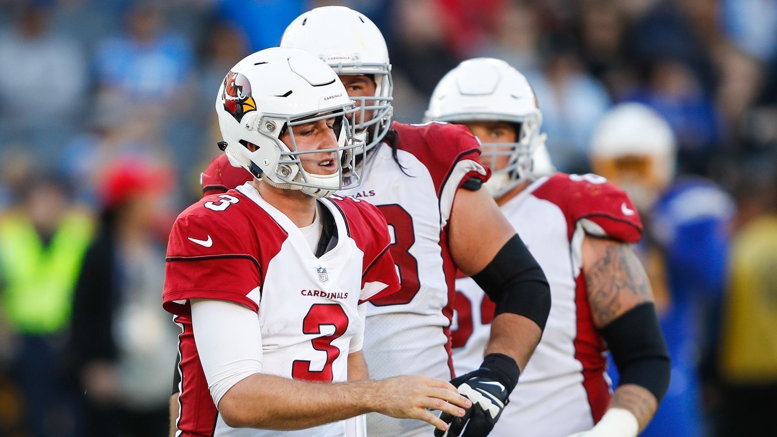 
                <strong>Arizona Cardinals: 10 Siege (1940 als Chicago Cardinals)</strong><br>
                Bilanz nach der Regular Season: 11-1Playoffs: 0:7 im NFL Championship Game verloren (vs. Eagles)
              