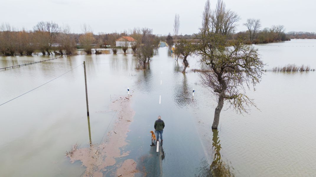 Weite Teile Deutschlands leiden aktuell unter Hochwasser. Welche Regionen betroffen sind und was wir aus früheren Katastrophen lernen können. 