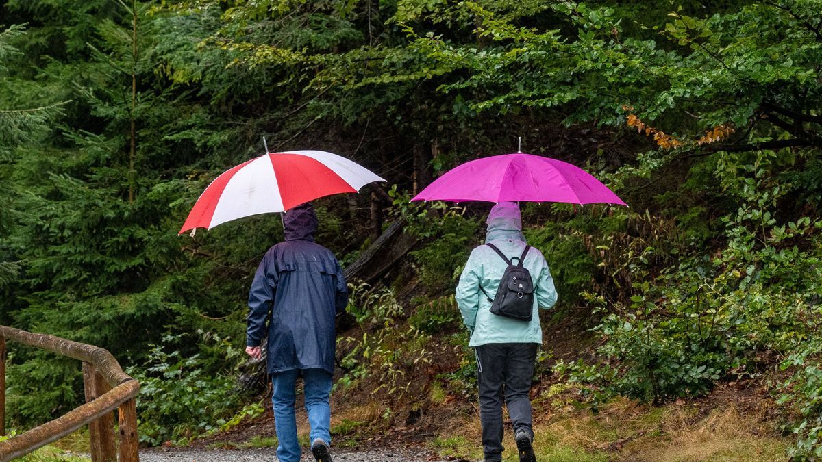 Wanderer sind mit Regenschirmen am Ufer des Arbersees unterwegs.