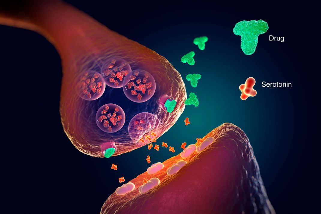 Informationsweiterleitung am synaptischen Spalt: SSRI ("Drug") verhindern die Wiederaufnahme des Neurotransmitters Serotonin in die präsynaptische Nervenzelle.