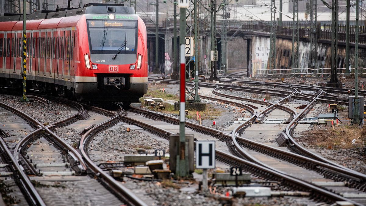 Seit Montag (01.05.) kann das 49-Euro-Ticket für Busse und Bahnen in ganz Deutschland genutzt werden. 