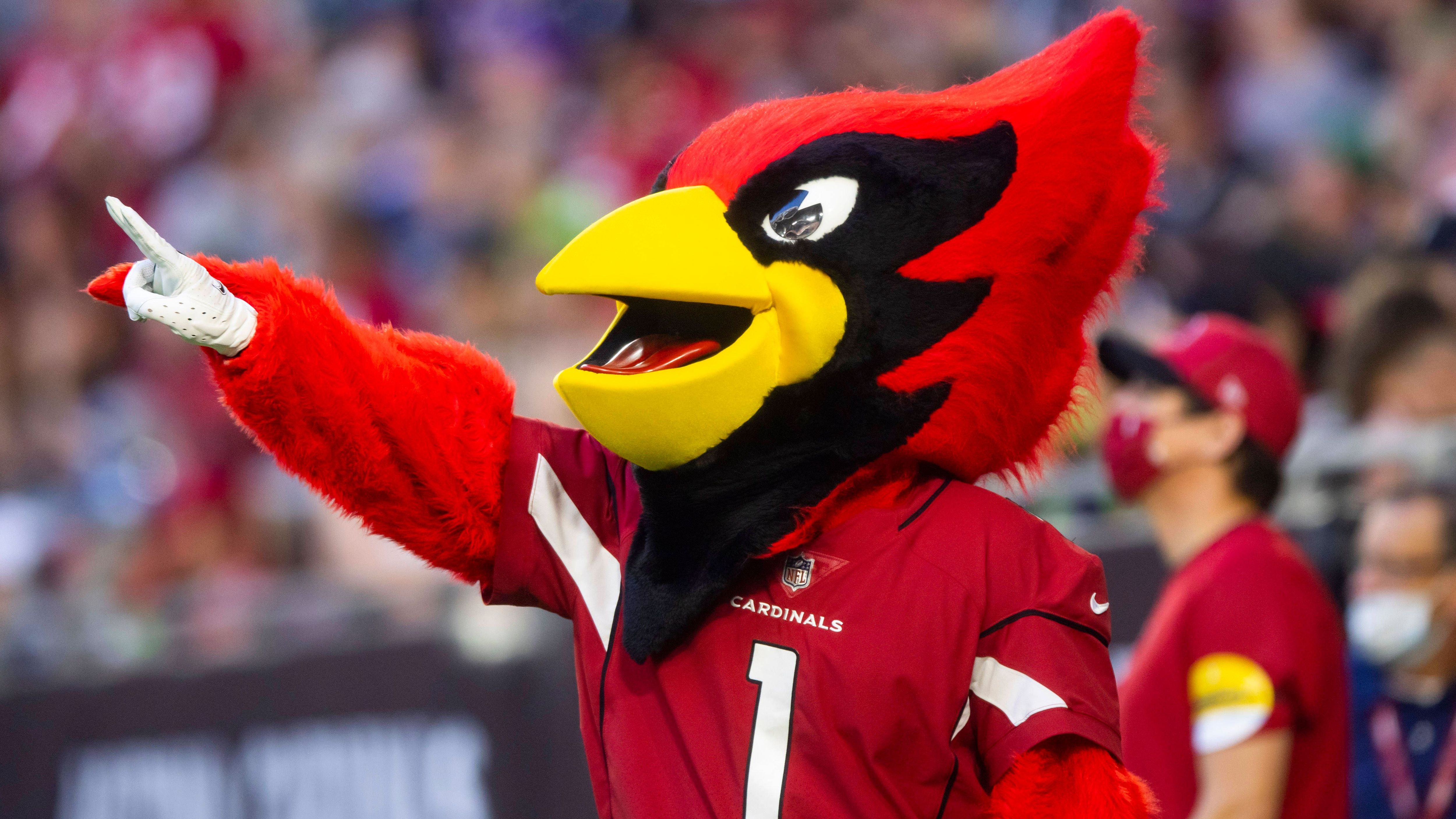 <strong>Arizona Cardinals</strong><br>Offizielles Maskottchen: Big Red<br>ChatGPT: Cactus Red<br>Erklärung: Anspielung auf Wüste und Teamfarbe