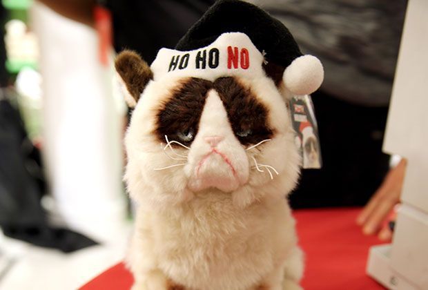 
                <strong>Merchandise</strong><br>
                Egal ob Socken, Plüschtiere oder Bücher wie "Der mürrische Führer durchs Leben": In Sachen Merchandise macht der Grumpy-Cat niemand etwas vor. Mittlerweile wird sogar der leckere Kaffee "Grampuccino" vertrieben.
              