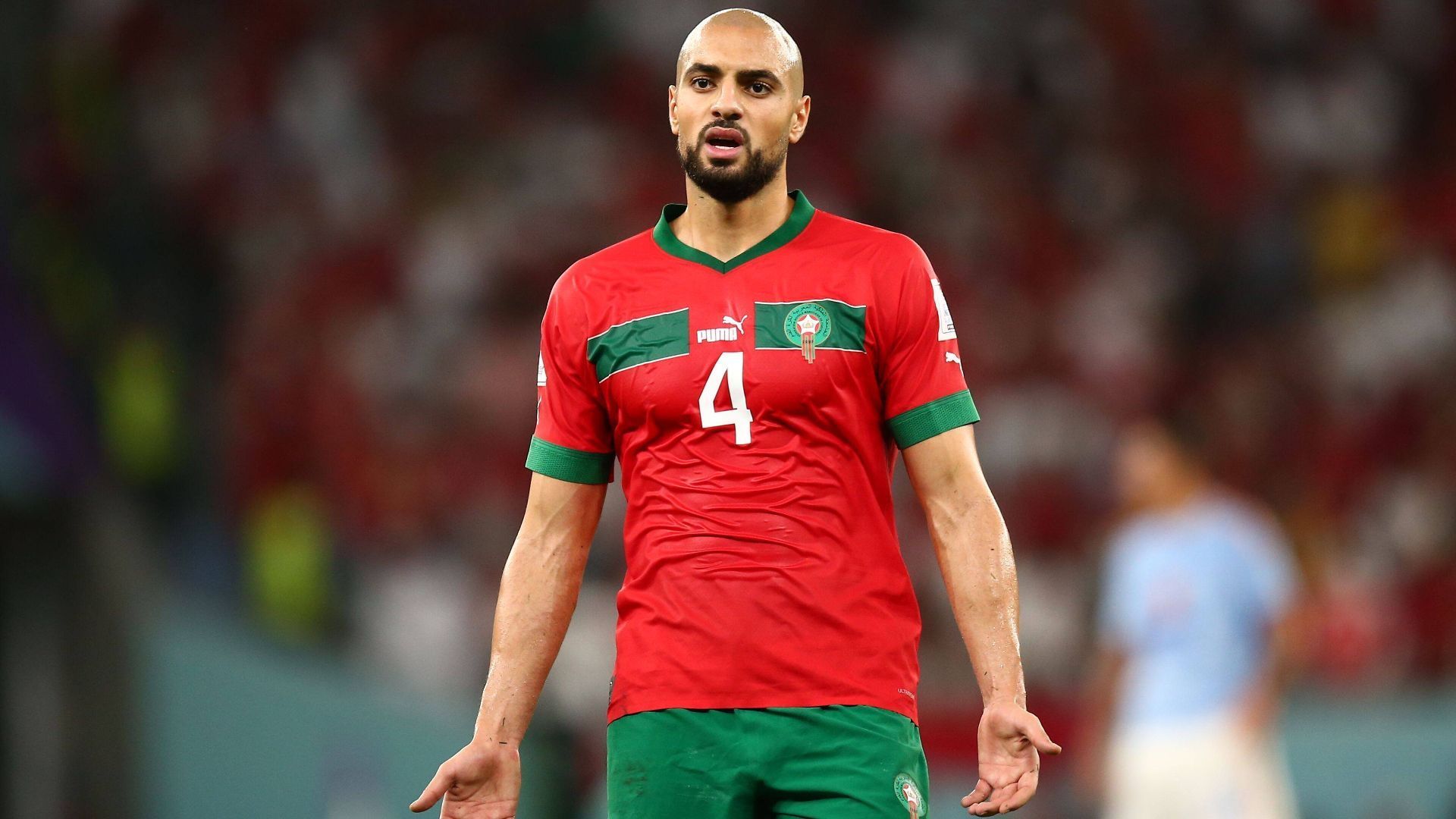 
                <strong>Sofyan Amrabat (Defensiver Mittelfeldspieler)</strong><br>
                Der alleinige Abräumer vor der Abwehr. Auf ihn kann sich Trainer Regragui in jeder Partie verlassen. Raubt den gegnerischen Mittelfeldakteuren regelmäßig die Lust am Fußball. Ein größeres Kompliment kann es für den gebürtigen Niederländer in Diensten des AC Florenz nicht geben.
              