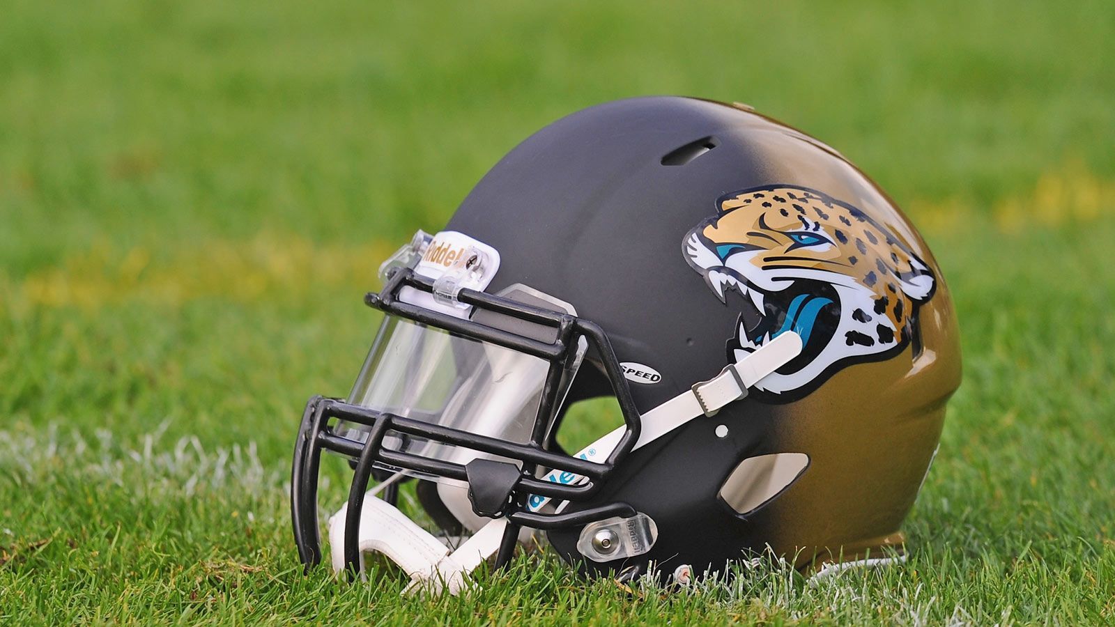 
                <strong>Jacksonville Jaguars</strong><br>
                Die Jacksonville Jaguars haben noch keine Rückennummer in Rente geschickt. 
              