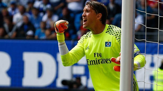 
                <strong>Rene Adler (Hamburger SV)</strong><br>
                Rene Adler (Hamburger SV)
              