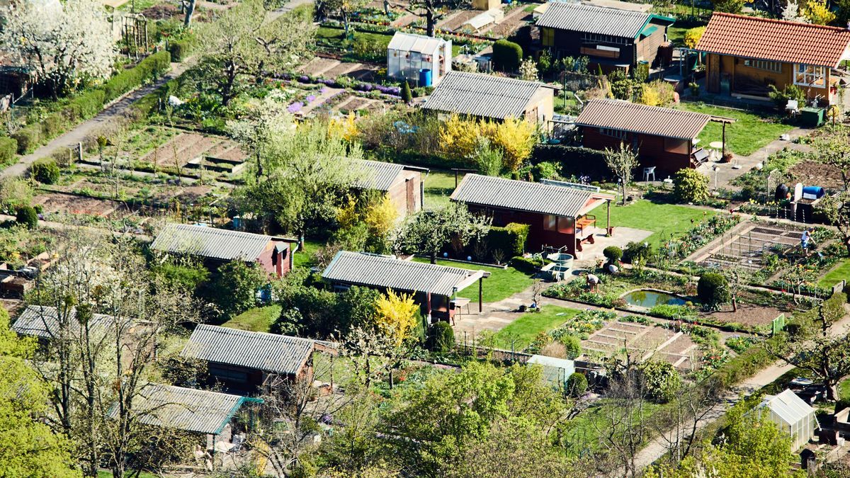 Fund von menschlichen Knochen in Kleingartenanlage auf Usedom