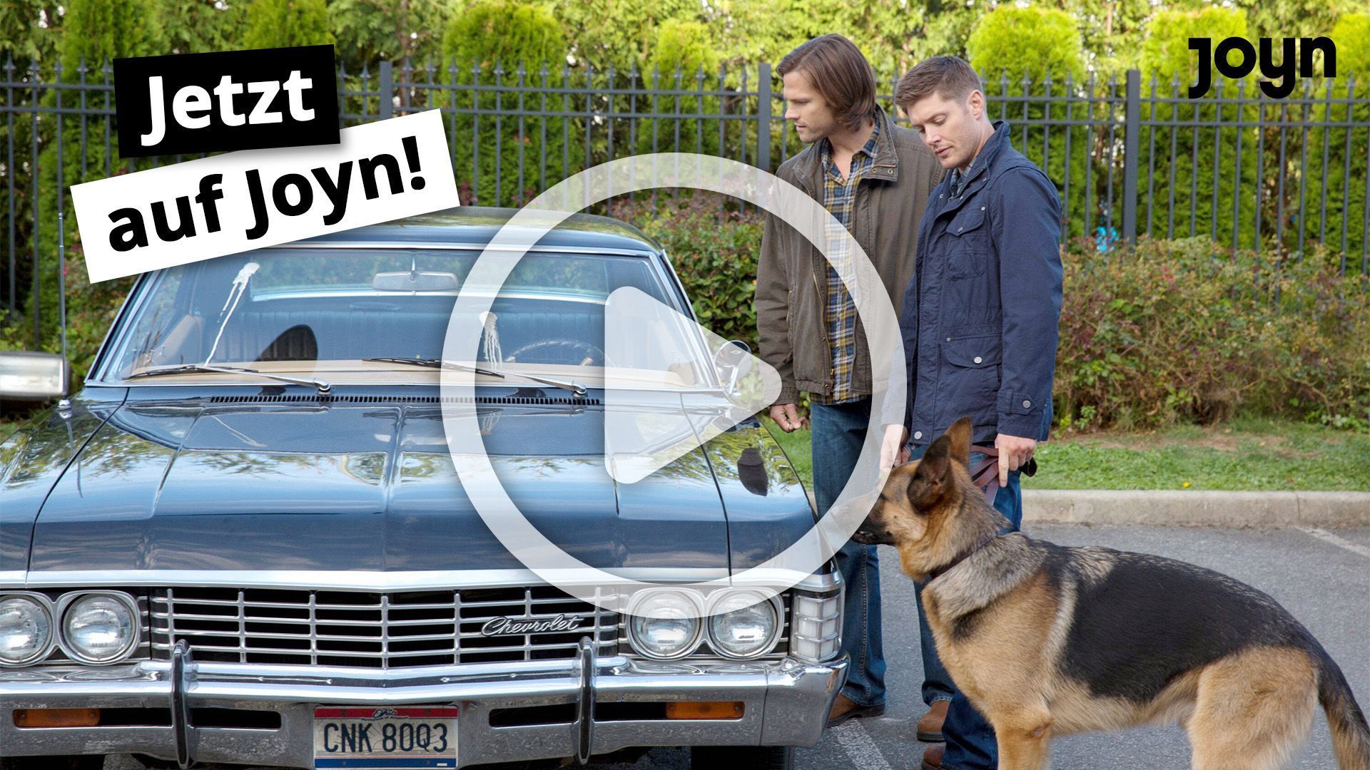 "Supernatural: Hundstage" - jetzt kostenlos auf Joyn streamen!