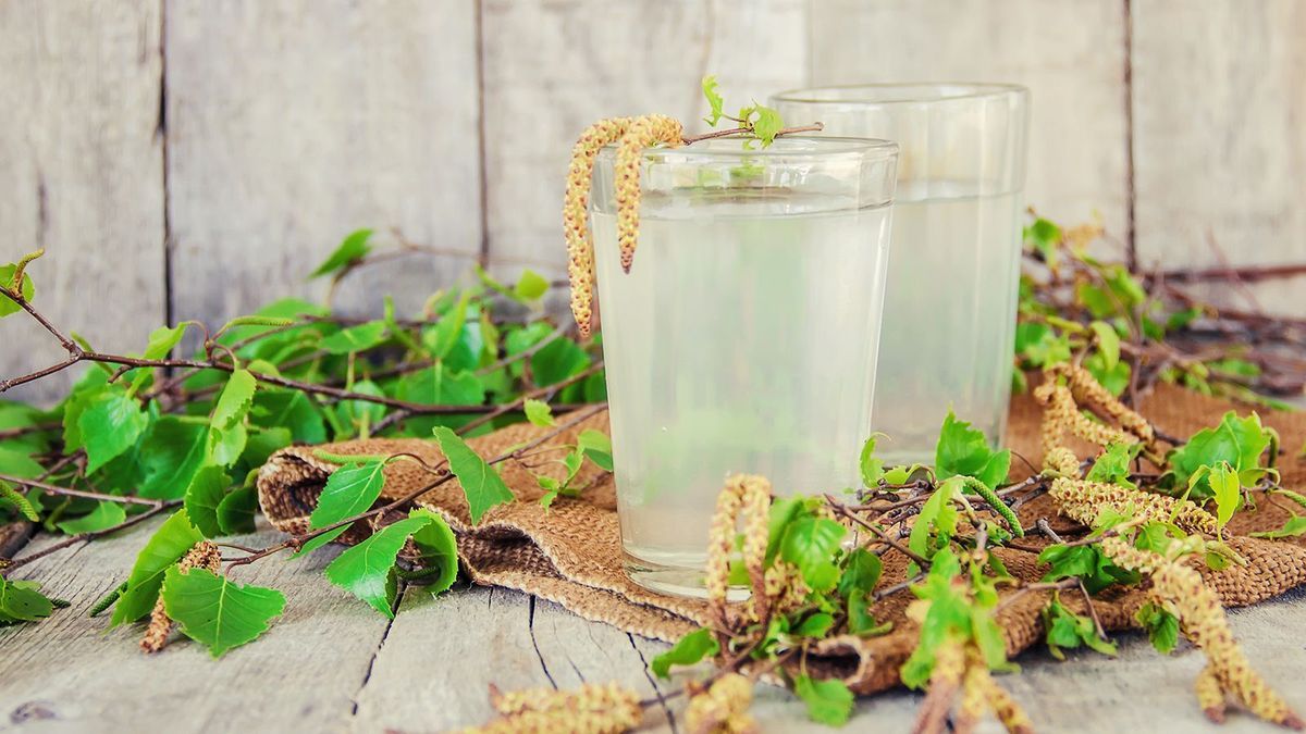birch sap in a glass. Selective focus.