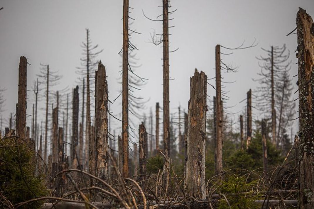 Folgen des Klimawandels: Die globalen Temperaturrekorde purzeln 2023 weiter