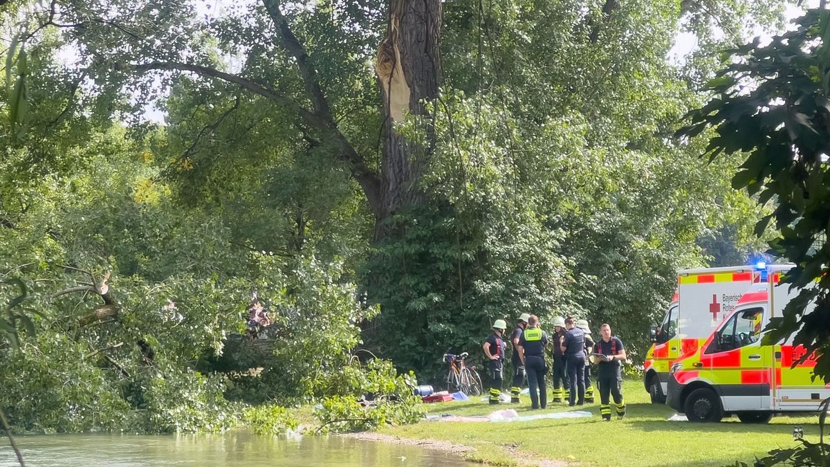 4. August 2024, München: Rettungskräfte stehen an der Unglücksstelle im Englischen Garten in München, an der ein großer Ast abbrach, auf zwei Menschen fiel und diese verletzte. 