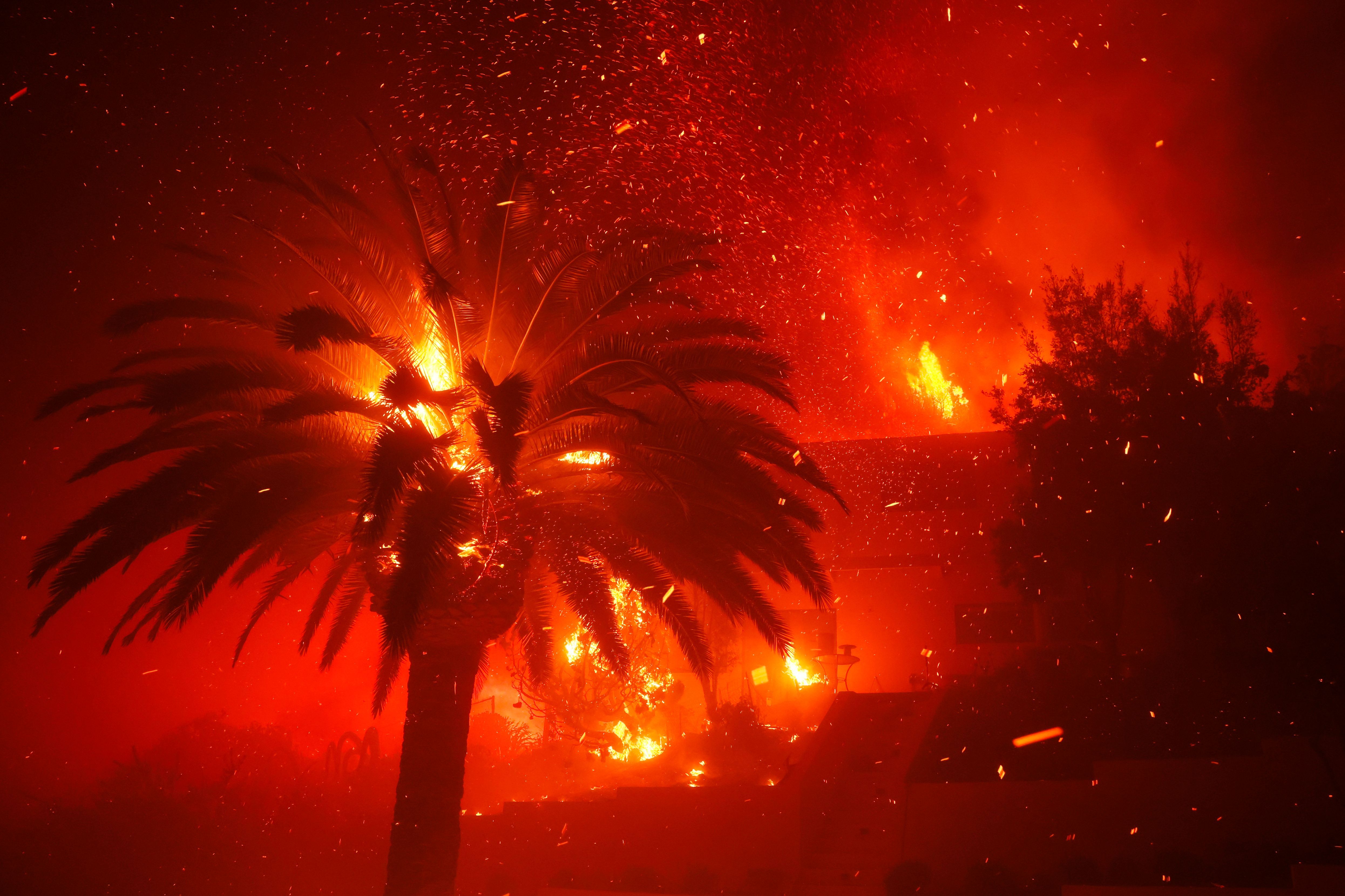 Das Palisades-Feuer verbrennt Bäume und Häuser im Stadtteil Pacific Palisades von Los Angeles.