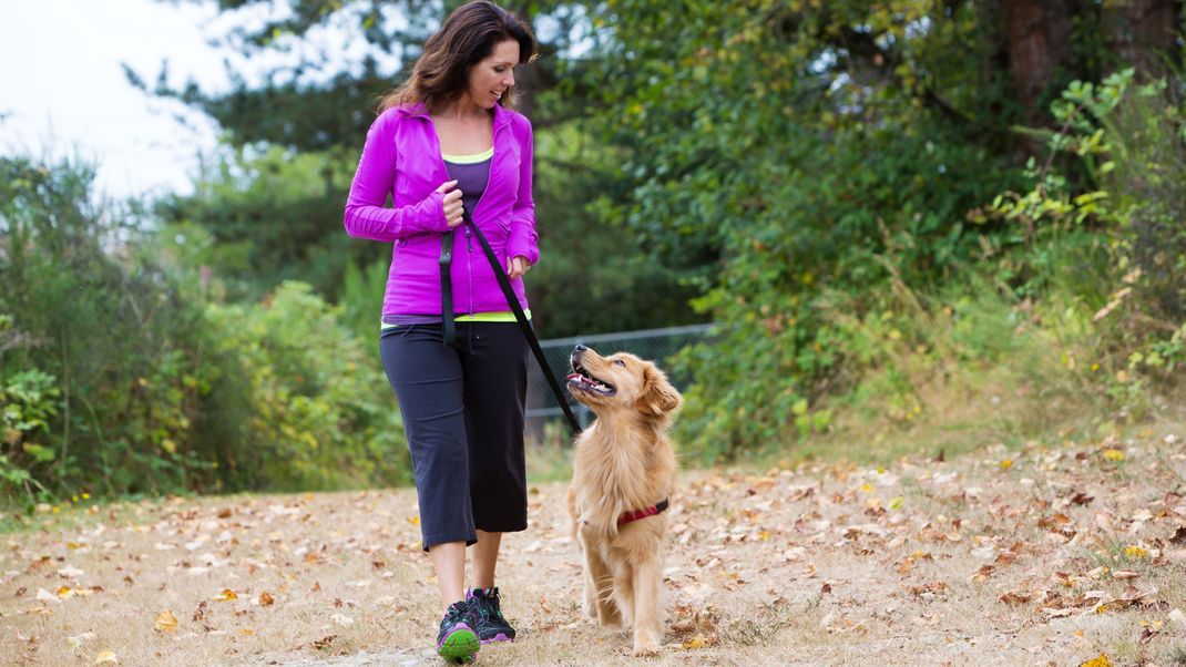 Augenkontakt mit dem eigenen Hund kann die Bindung zwischen Halter:in und Tier stärken.