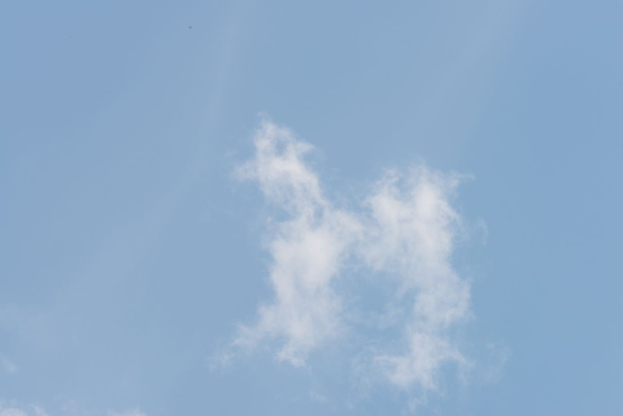 Schon für Kinder funktionieren Wolken als "Formwandler". 
Hier kann man ein Pferd oder einen Hund sehen.