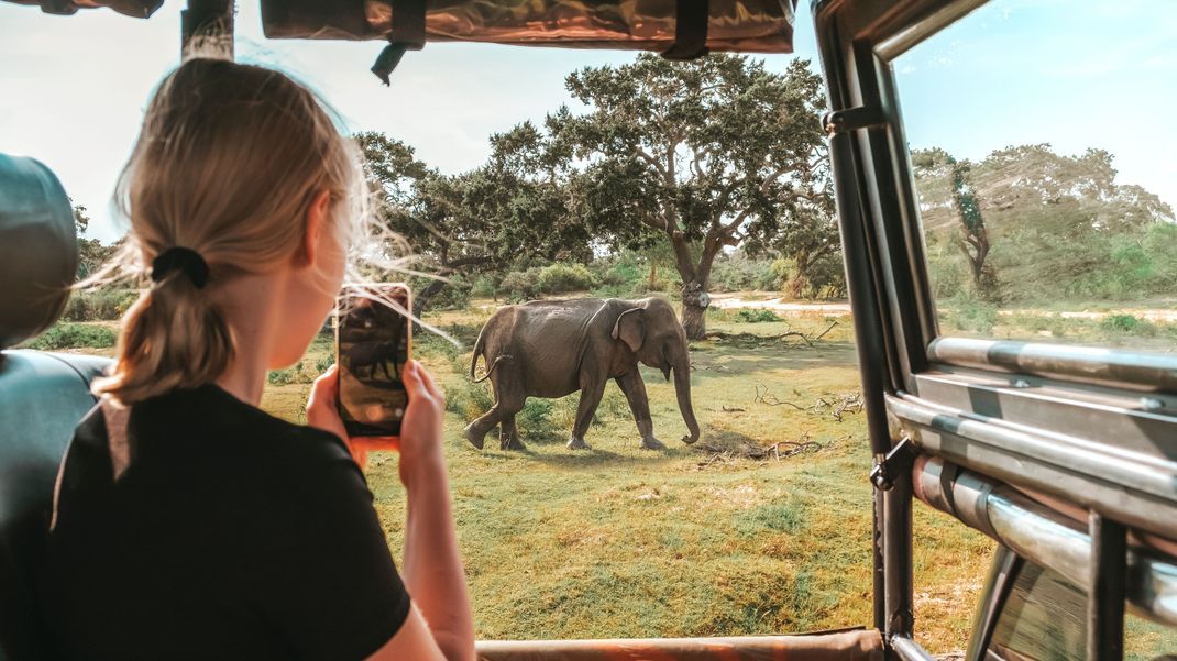 Eine Safari ist ein unvergessliches Erlebnis. Damit du sie genießen kannst, ist eine sorgfältige Planung wichtig.