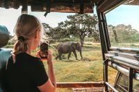 Planungs-Tipps und Checkliste für eine Safari