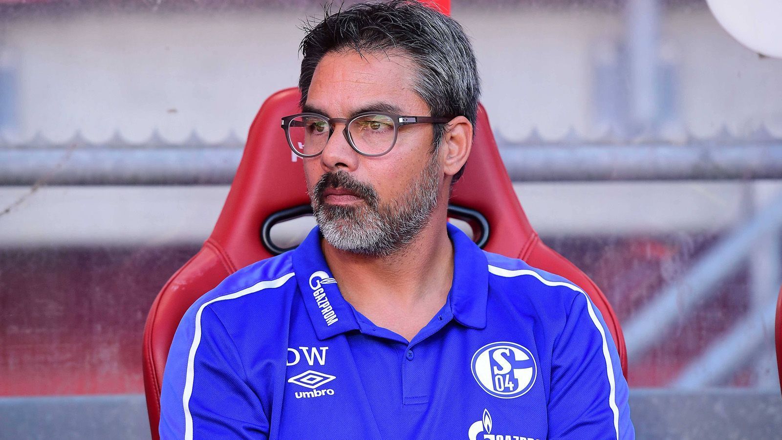 
                <strong>David Wagner (Schalke 04)</strong><br>
                Wettquote: 5/1
              