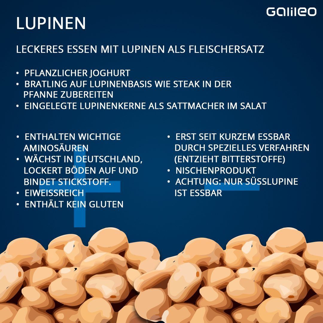 Pflanzliche Fleischalternativen im Check: Lupinen.