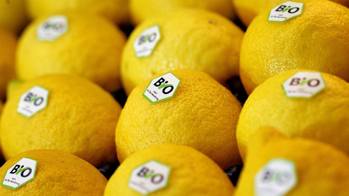 Zitronen mit Bio-Aufklebern