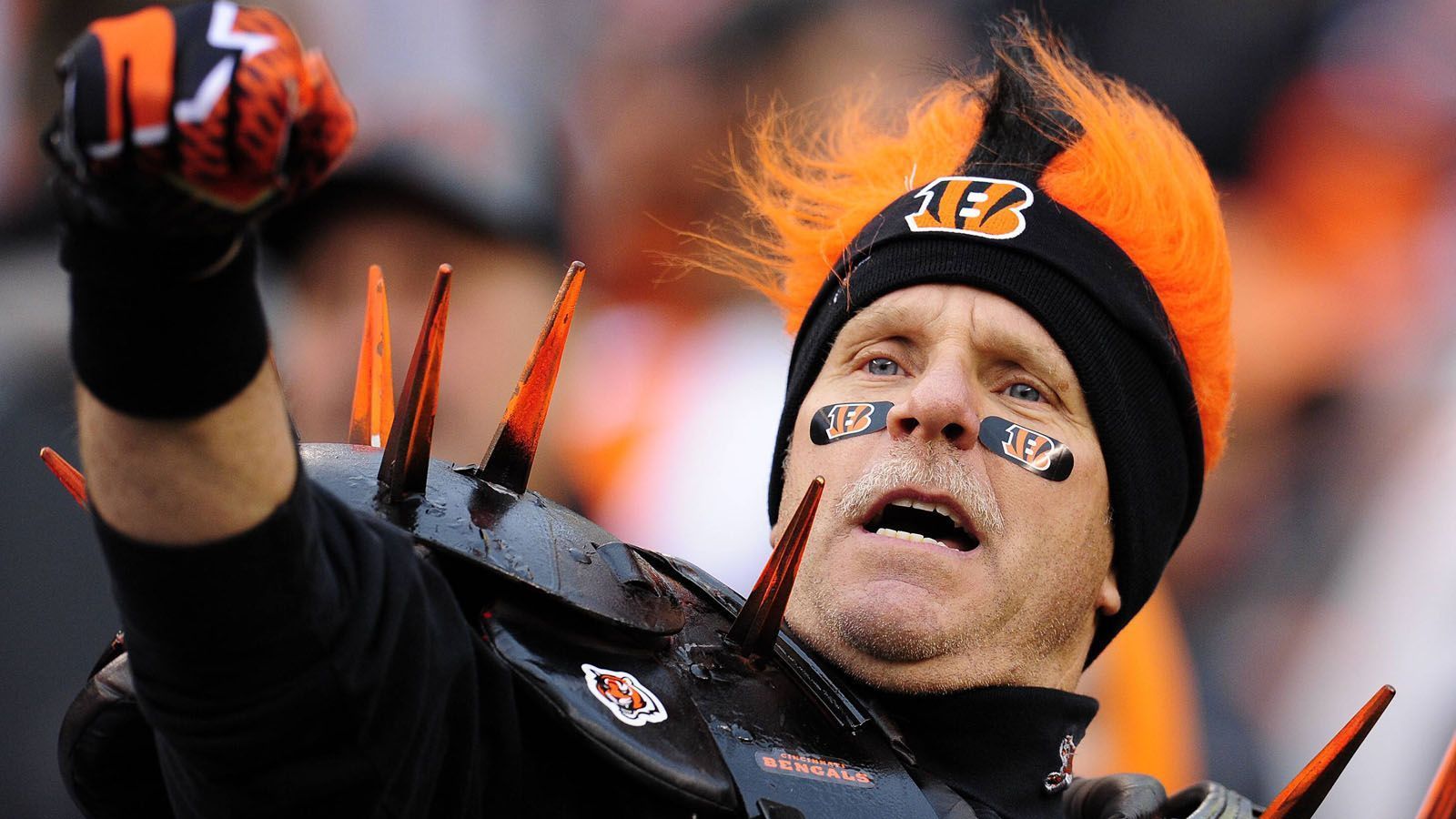 
                <strong>Platz 28: Cincinnati Bengals</strong><br>
                
              