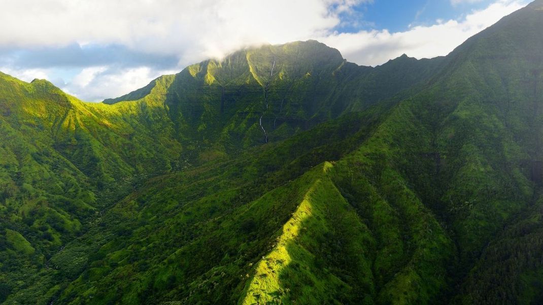 Einen Schirm solltest du auf dem Mount Wai'ale'ale lieber nicht vergessen: Hier regnet es fast immer.