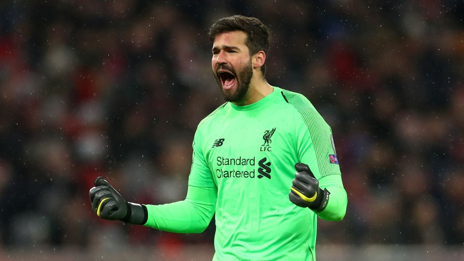 
                <strong>Tor: Alisson Becker (FC Liverpool)</strong><br>
                Absolvierte Spiele im Wettbewerb 2018/19: 13
              