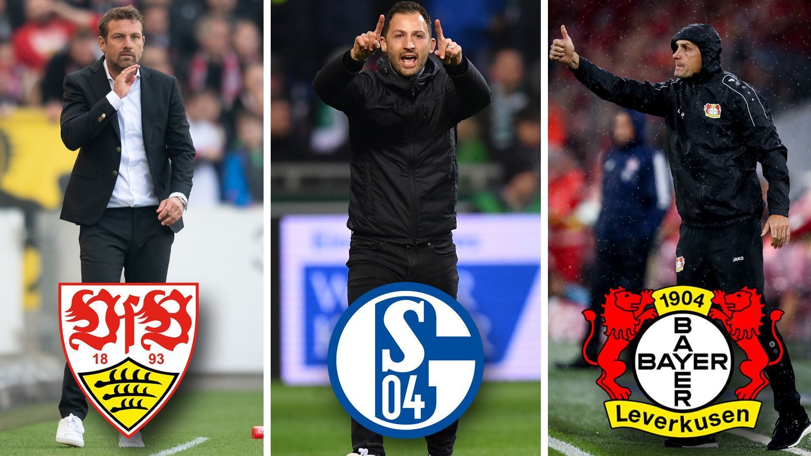 
                <strong>Bundesliga: Das zahlen die Klubs an ihre gefeuerten Mitarbeiter</strong><br>
                Die Bundesliga steht unter einem gewaltigen Mitarbeiter-Verschleiß. Im Laufe der aktuellen Saison wurden sieben Trainer vor dem Ablauf ihrer Vertragslaufzeit entlassen. Sechs weitere Coaches werden ihre Klubs nach Saisonende verlassen. Nicht wenige von Ihnen werden trotzdem weiterhin bezahlt, schließlich sind die Verträge noch nicht abgelaufen. Der VfB Stuttgart hat beispielsweise noch zwei Trainer (Weinzierl, Korkut), einen Sportvorstand (Reschke) und fünf Co-Trainer (Beller, Barth, Altintop, Cherundolo und Aracic) auf seiner Gehaltsliste. ran.de zeigt euch, wie viel Gehalt die Bundesligisten an ihre entlassenen Mitarbeiter pro Monat zahlen. (Quelle: Bild)
              