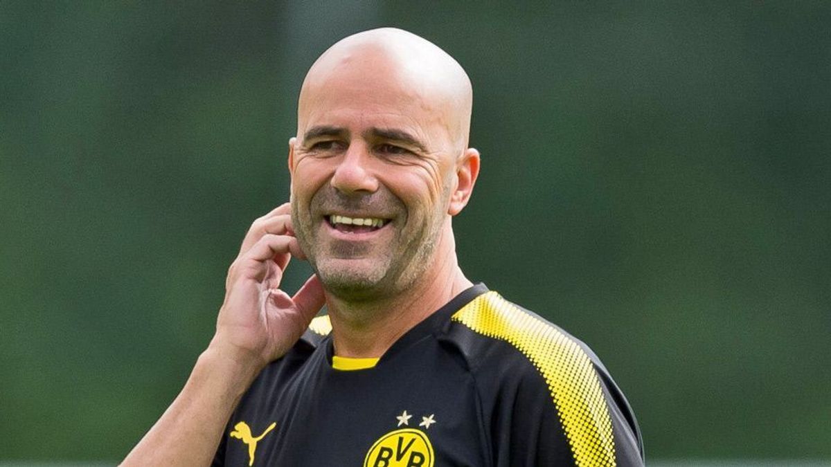 Peter Bosz BVB