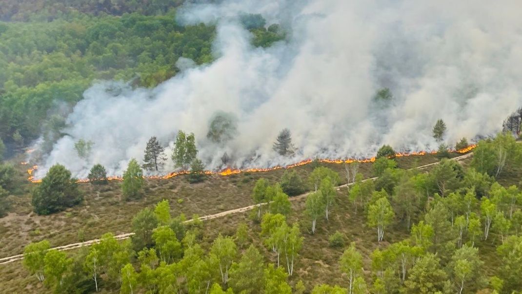 Angesichts der akuten Waldbrandgefahr wie hier im brandenburgischen Jüterbog appelliert Cem Özdemir (Grüne) "sich im Wald umsichtig zu verhalten."
