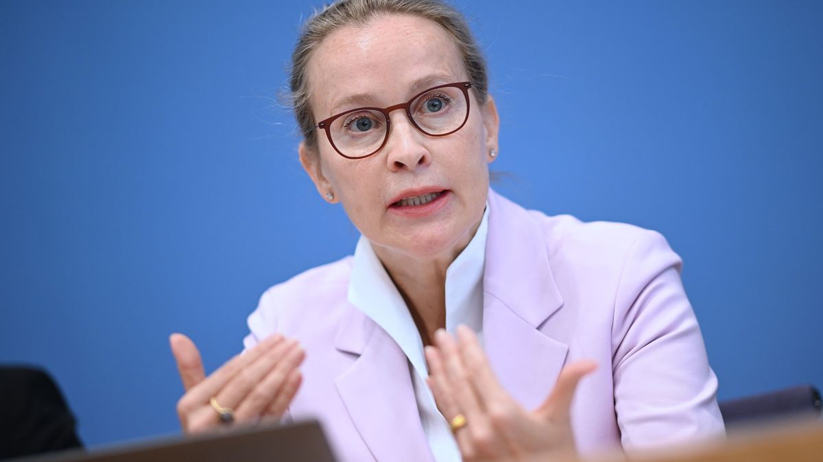 Frauke Brosius-Gersdorf hat am Donnerstag mitgeteilt, dass sie nicht länger für eine Kandidatur als Richterin am Bundesverfassungsgericht zur Verfügung steht.