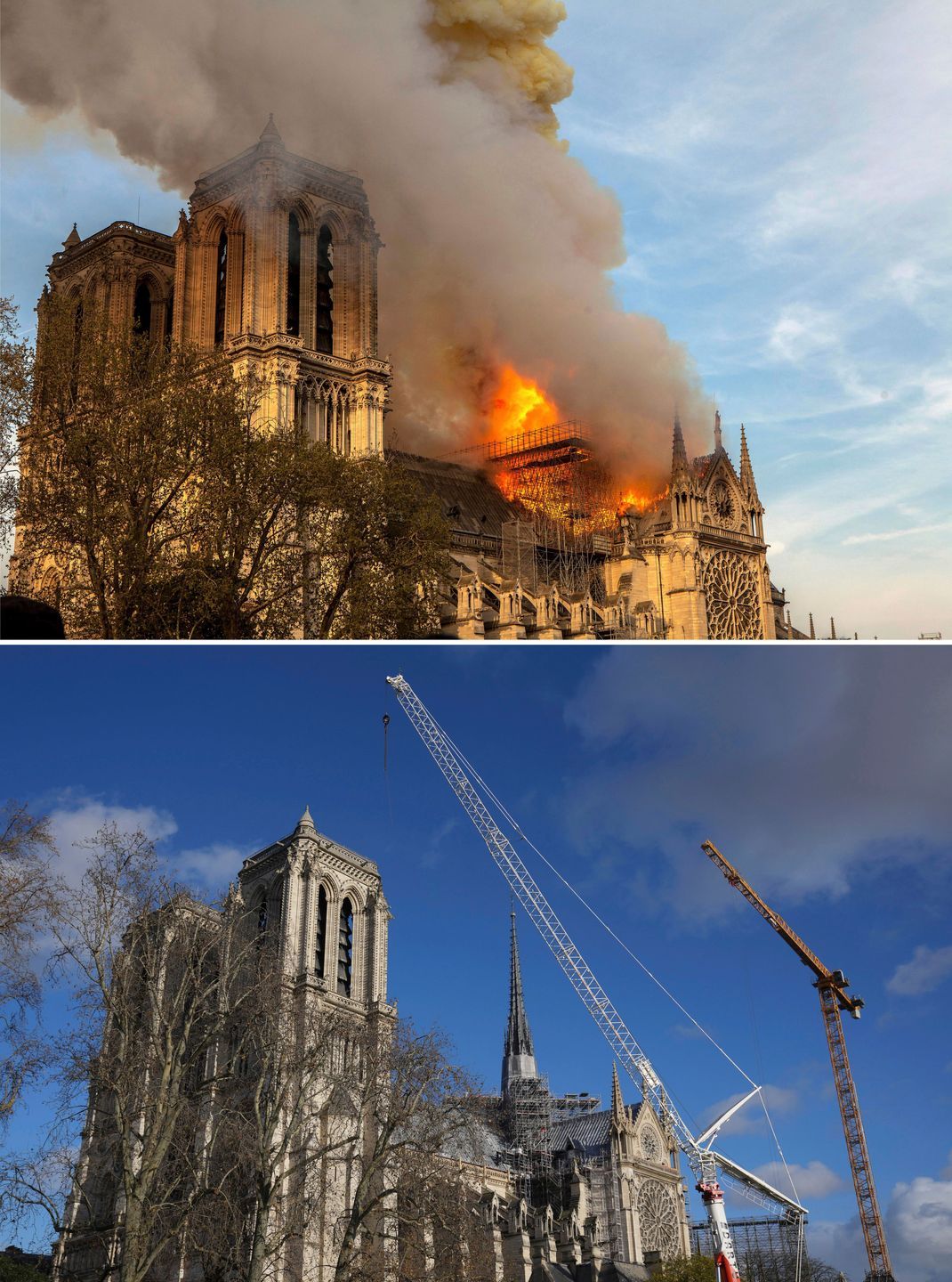 Am Samstag (7. Dezember) wird die Kathedrale Notre-Dame in Paris, die vor fünf Jahren einem Feuer zum Opfer fiel, nach aufwendigen Restaurierungsarbeiten wiedereröffnet.