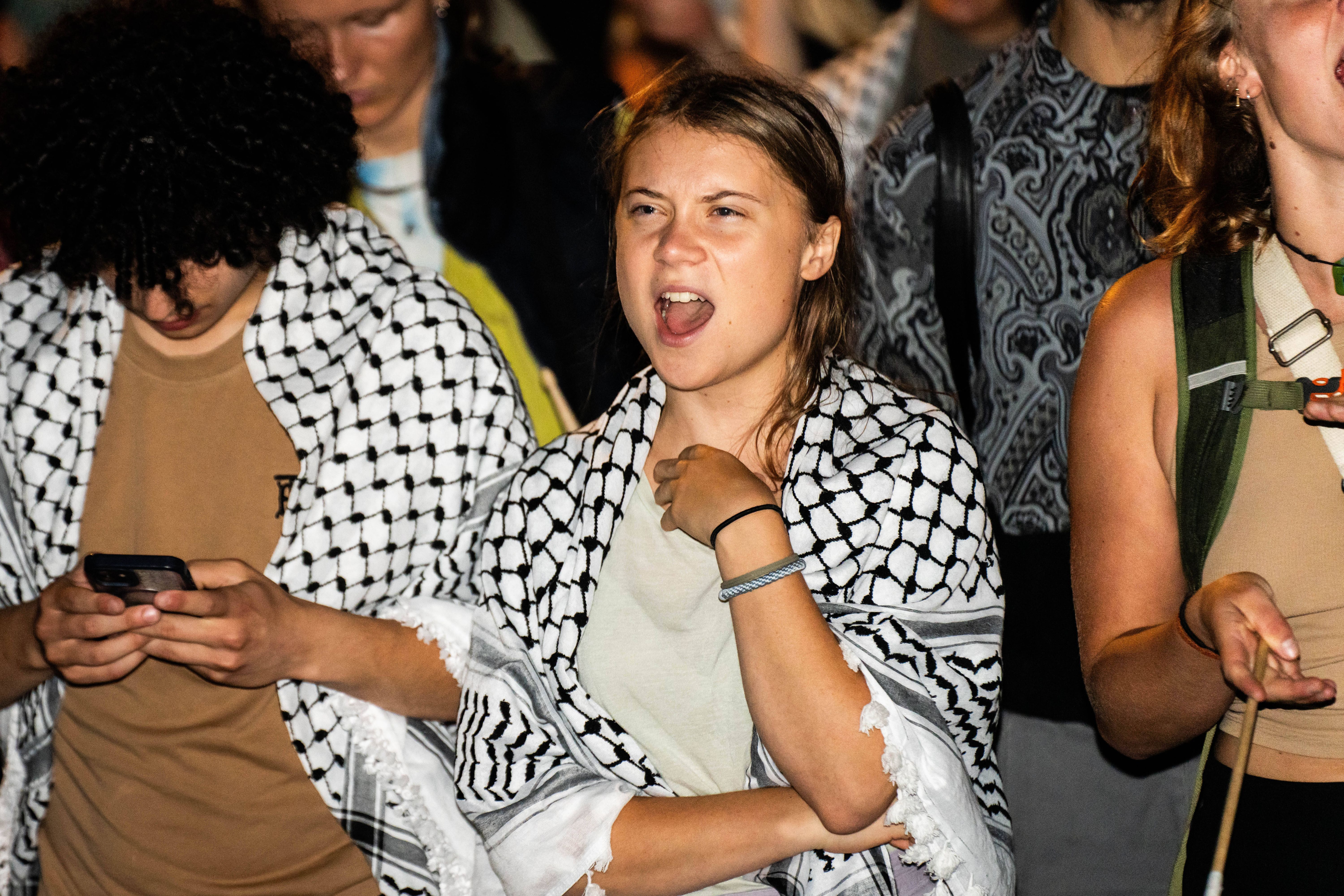 Israel warf Thunberg in Bezug auf den Gaza-Krieg mehrfach "Völkermord" vor, sie wiederum wird als Antisemitin kritisiert. Im September 2024 wird sie auf einer propalästinensischen Demo in der dänischen Hauptstadt Kopenhagen verhaftet.