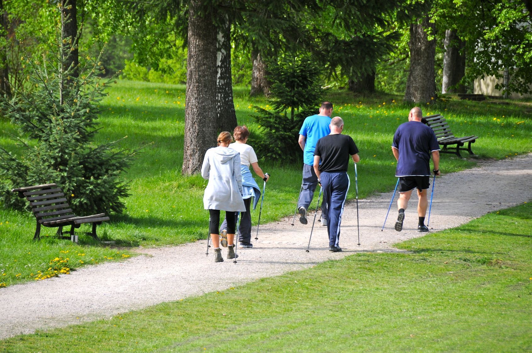 Ein beliebter Freizeitsport bei Jung und Alt, ist Nordic Walking. Kalorienverbrauch, Muskelaufbau und Bewegung an der frischen Luft sprechen für sich.