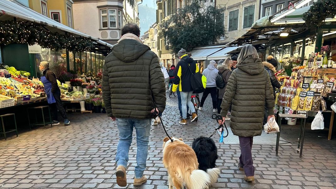 24.01.2024, Italien, Bozen: Hundehalter:innen gehen mit ihren Tieren in den Straßen von Südtirols Hauptstadt Bozen spazieren.