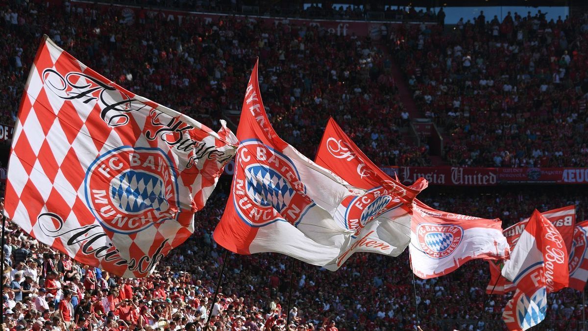 So viel kostet die Mitgliedschaft im Verein pro Jahr