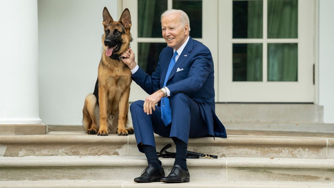 Der Schäferhund von US-Präsident Joe Biden muss nach mehreren Beißattacken auf Mitarbeiter:innen das Weiße Haus verlassen.