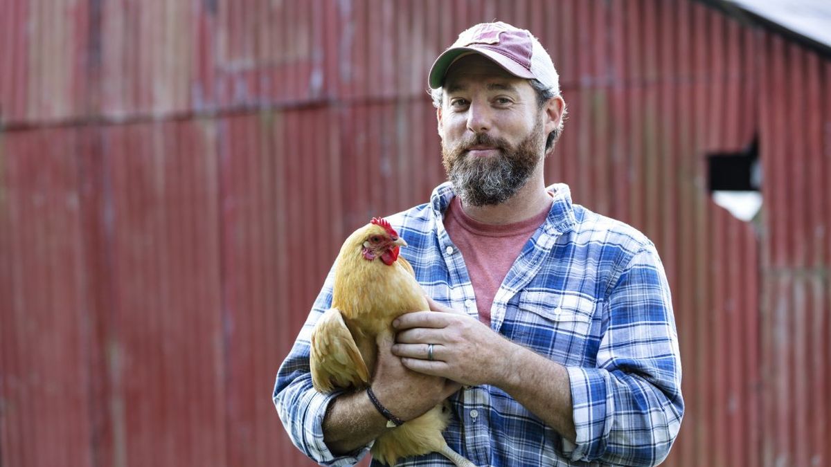 Bauer Hat Huhn Auf Dem Arm Gettyimages 1333789012