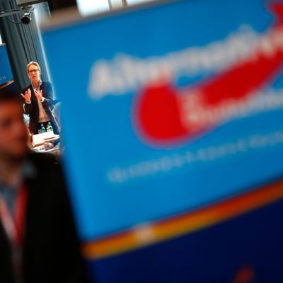 Insa-Umfrage: AfD erreicht höchsten Wert seit 2018.