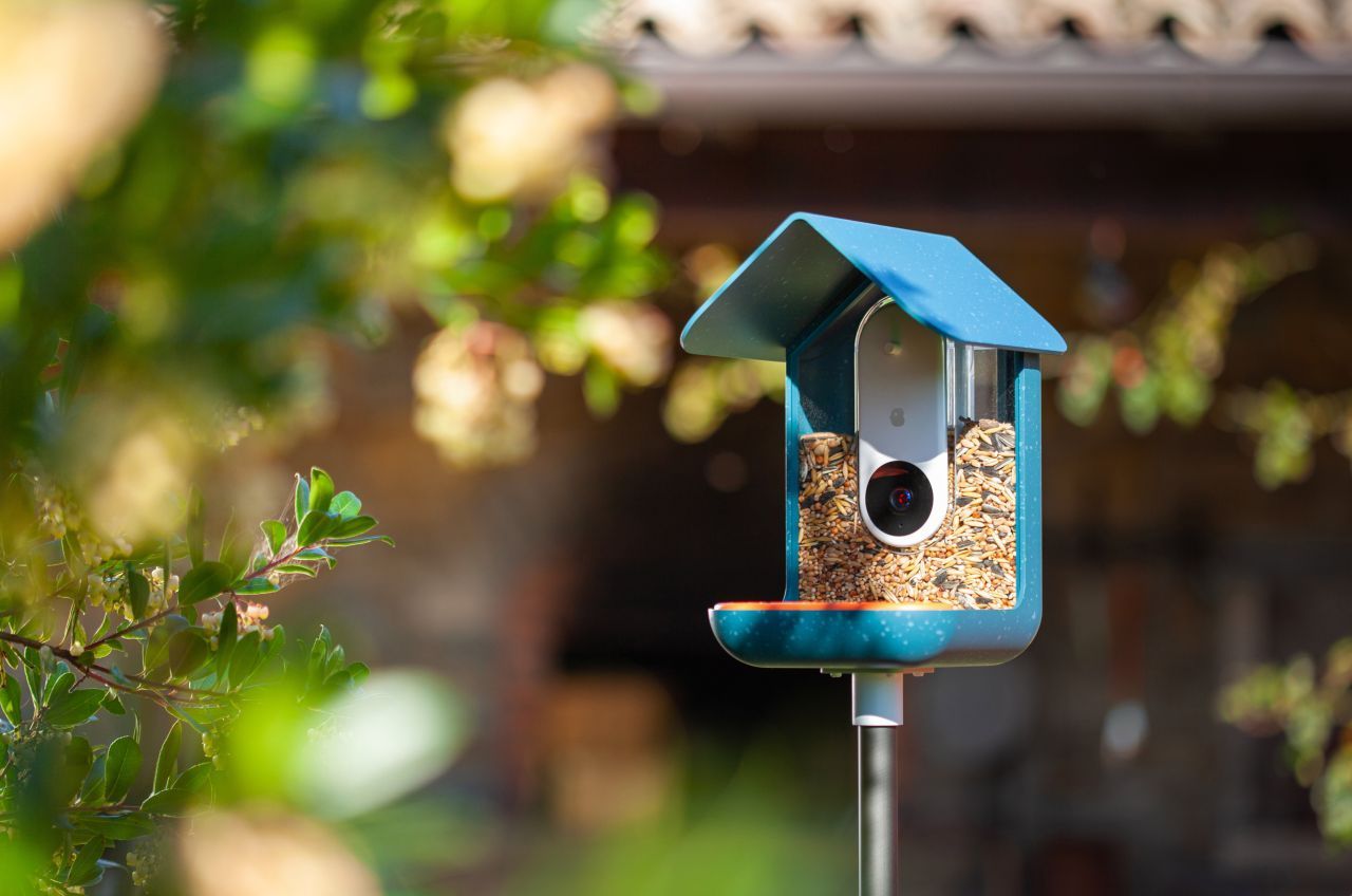 "Bird Buddy" ist ein smartes Vogelhaus für den Garten. Die integrierte Webcam schickt dir eine Nachricht, wenn ein Vogel vorbei kommt. Schon kannst du live per App nachschauen, welche Vogelart gerade zu Besuch ist. 