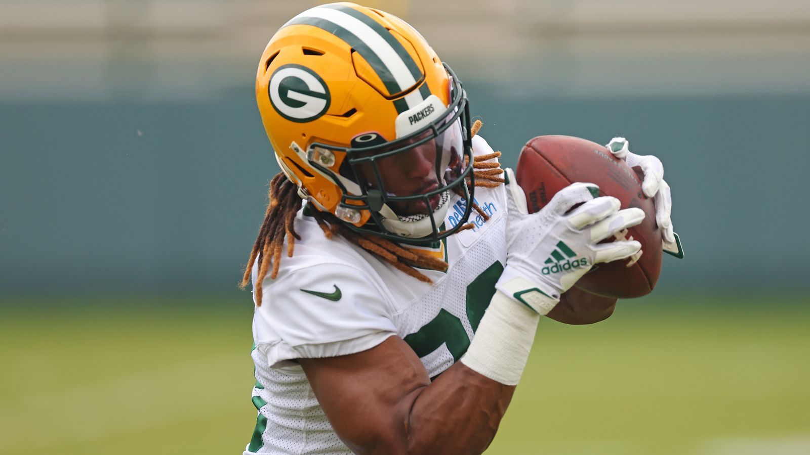 
                <strong>13. Green Bay Packers</strong><br>
                Das doppelköpfige RB-Monster aus Aaron Jones und AJ Dillon geht auch in eine neue Saison. Aber mit Jordan Love hat man einen neuen Signal Caller. Das wird spannend, doch die RB-Jungs sind eingespielt - auch wenn sie jetzt noch mehr Verantwortung tragen. Platz 13.RB1: Jones, Aaron - RB2: Dillon, AJ - RB3: Taylor, PatrickWeitere RBs: Nichols, Lew - Goodson, Tyler - Wilson, Emanuel
              