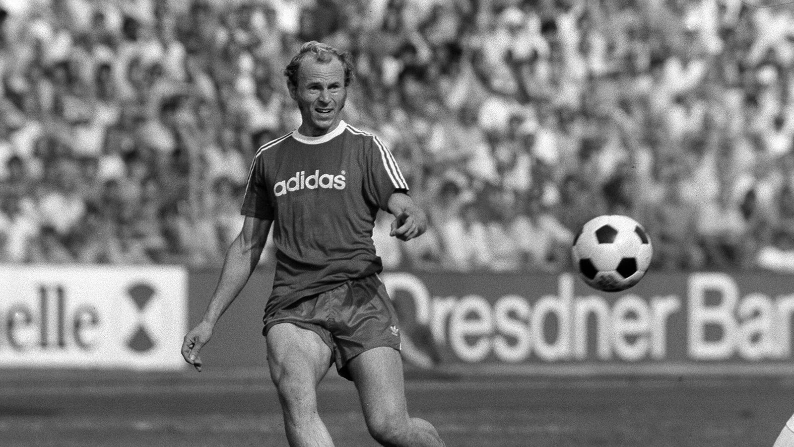 
                <strong>Erwin Hadewicz</strong><br>
                &#x2022; FC Bayern München: 1973 bis 1975 -<br>&#x2022; VfB Stuttgart: 1975 bis 1983<br>
              