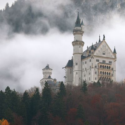 Herbstliches Schloss Neuschwanstein