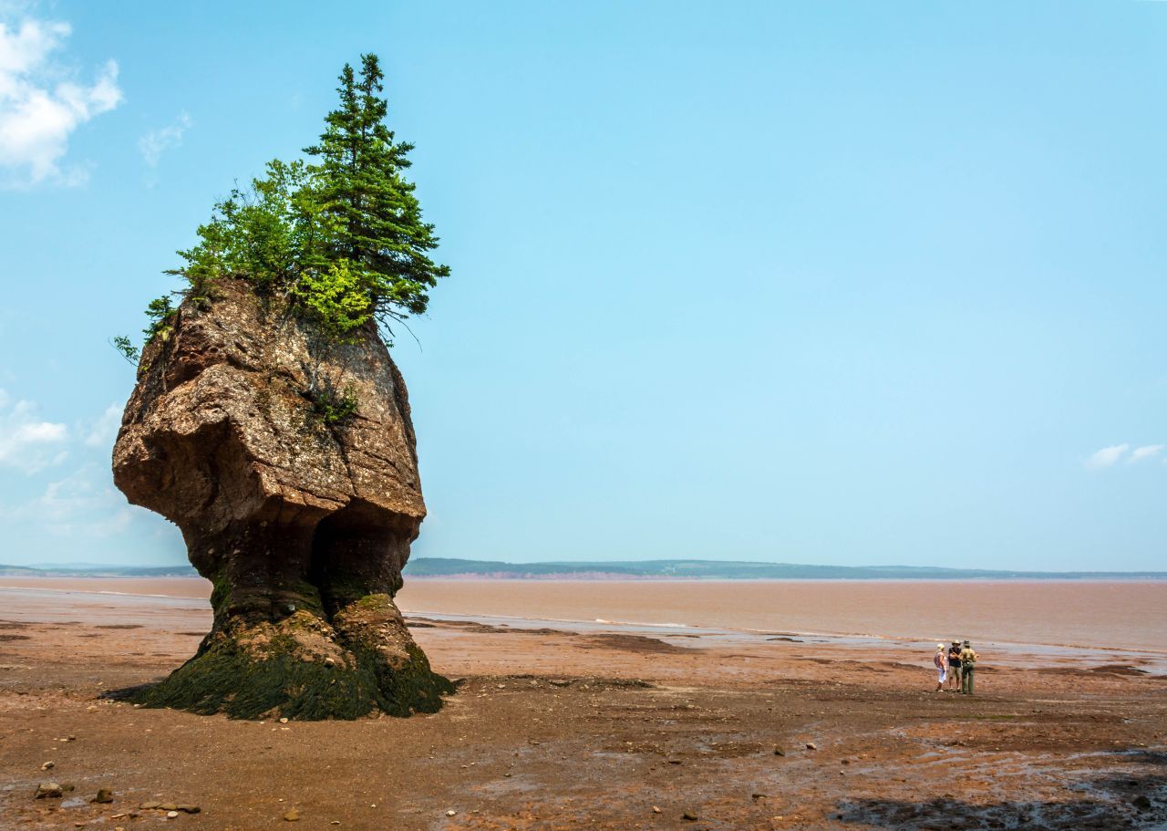 Hopewell Rocks, Kanada: In der Bay of Fundy gelegen, bieten die Hopewell Rocks markante Felsformationen, die bei Flut von Wasser umspült werden und bei Ebbe zugänglich sind.