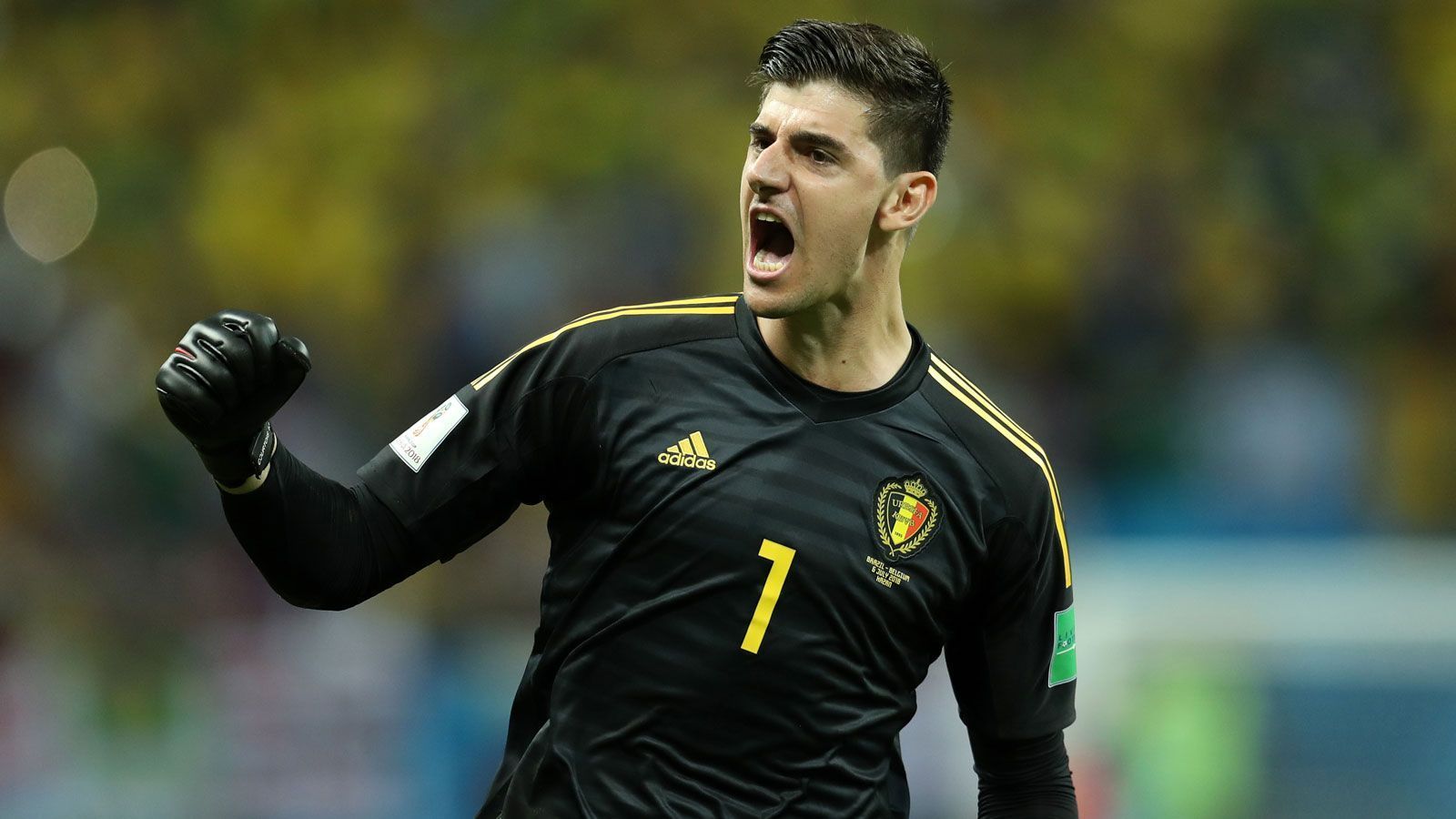 
                <strong>Torwart: Thibaut Courtois (26, Belgien)</strong><br>
                sieben Einsätze über die volle Distanz (630 Minuten)sechs Gegentore (drei Mal zu Null gespielt)insgesamt 65 Länderspielespielt beim FC Chelsea
              