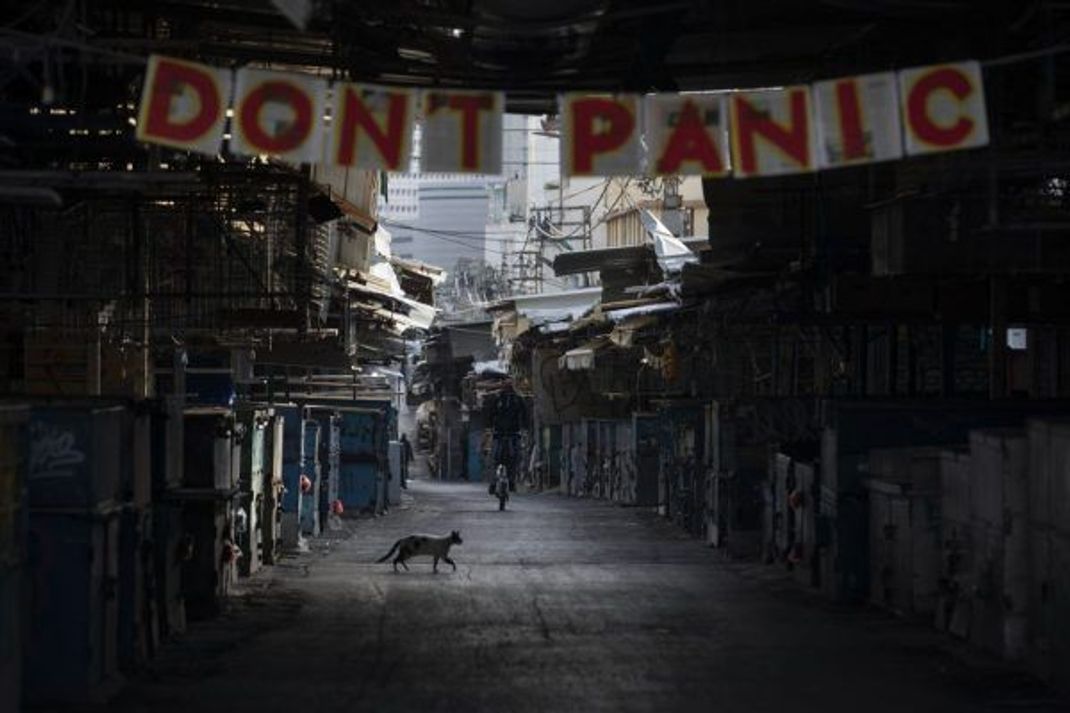 Keine Panik: Gilt nicht nur auf diesem Lebensmittelmarkt in Tel Aviv, sondern auch für den Umgang mit Haustieren.