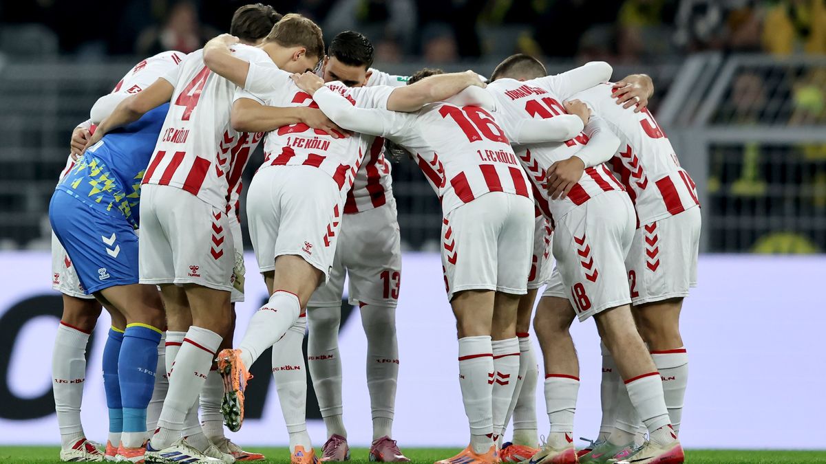 Borussia Dortmund v 1. FC Köln - Bundesliga