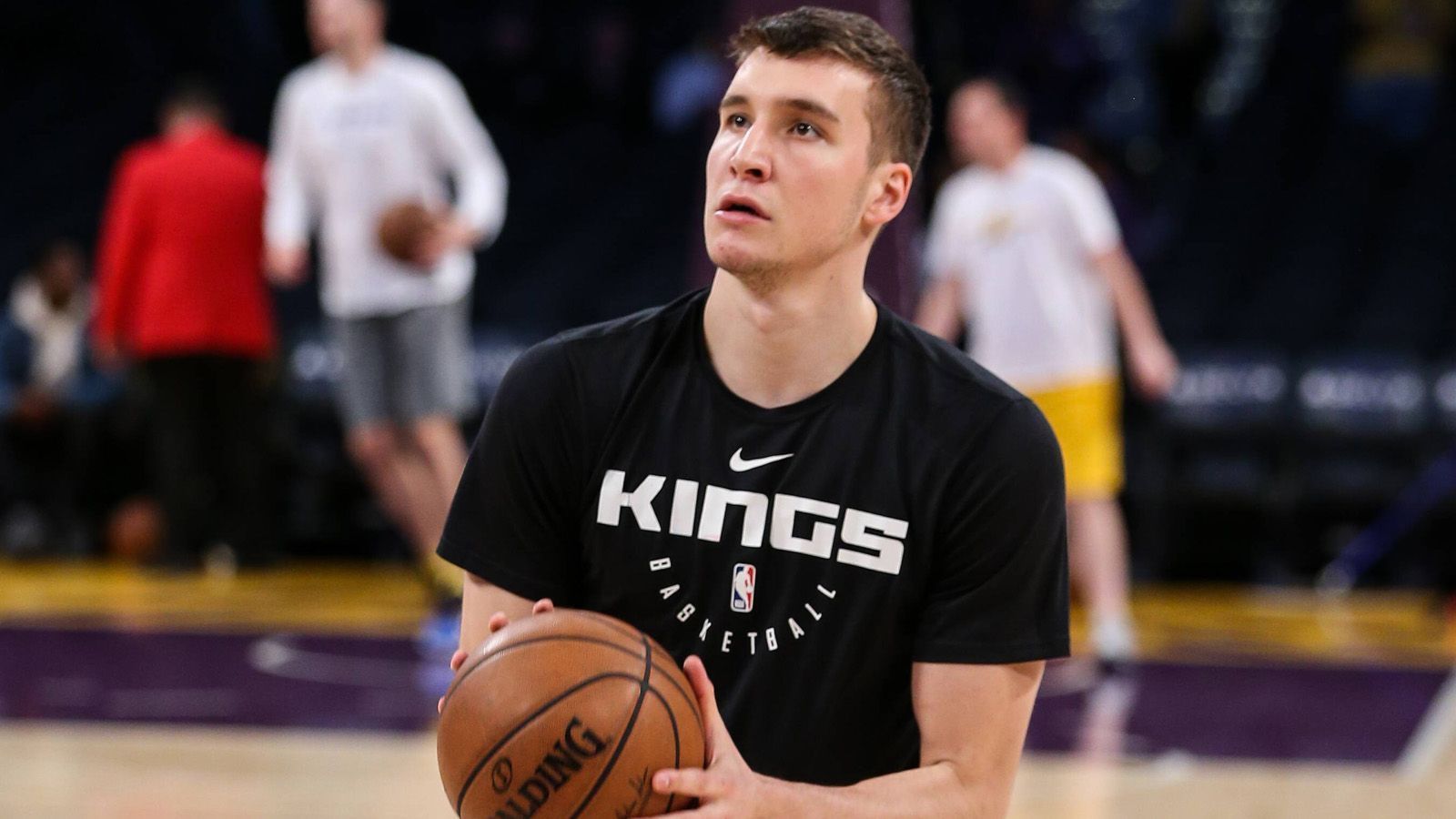 
                <strong>Bogdan Bogdanovic (27, Serbien) </strong><br>
                Team: Sacramento KingsPosition: Shooting Guard / Point GuardIn der NBA seit: 2017
              