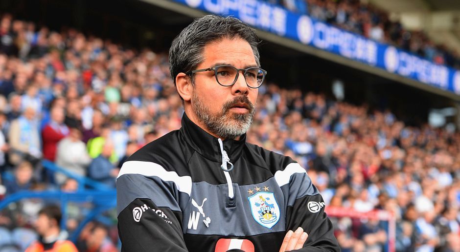 
                <strong>David Wagner (Huddersfield Town)</strong><br>
                Kehrt der enge Klopp-Freund nach zweieinhalb Jahren auf der Insel zurück zum BVB? Von 2011 bis 2015 trainierte er die zweite Mannschaft der Schwarz-Gelben, ehe seine Erfolgszeit in Huddersfield begann. David Wagner gelang mit dem englischen Klub der Überraschungs-Aufstieg, seitdem machte er sich nicht nur in England einen Namen. Aktuell kämpft er mit Huddersfield um den Verbleib in der Premier League. Ob der 46-Jährige jedoch noch einmal in die 2. Liga gehen würde? ...
              