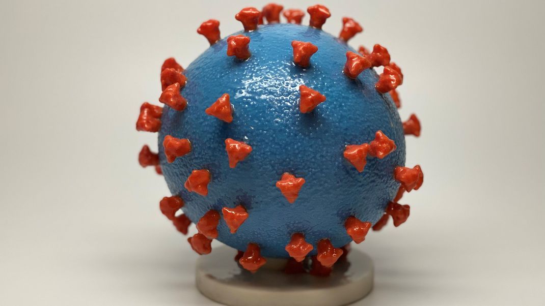 3-D-Ausdruck eines SARS-CoV-2 Virus. Der neue Omikron-Subtyp HV.1 breitet sich aktuell in den USA aus und sorgt dort mittlerweile für die meisten Covid-Infektionen.