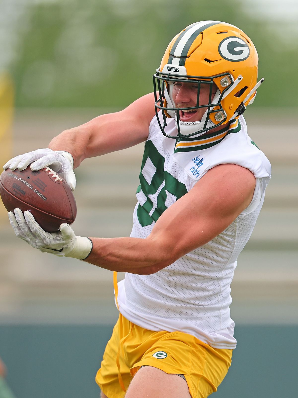 Passempfänger der Green Bay Packers